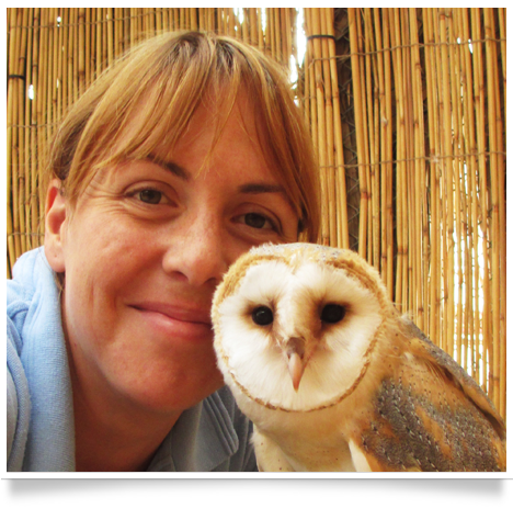 royal shaheen Eevents, falconry, dubai, desert, UEA, experience, show, birds, owls, eagles, kites, air, hawks, pest control services