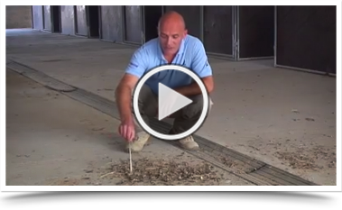 royal shaheen Eevents, falconry, dubai, desert, UEA, experience, show, birds, owls, eagles, kites, air, hawks, pest control services