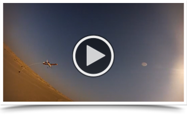 royal shaheen Eevents, falconry, dubai, desert, UEA, experience, show, birds, owls, eagles, kites, air, hawks, pest control services